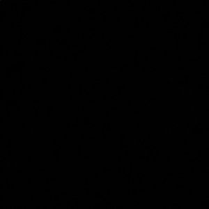 Meet your Posher, Mackenzie